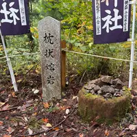 玉置山の枕状溶岩堆積地の写真・動画_image_1715933
