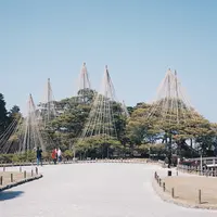 兼六園の写真・動画_image_171718