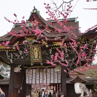 北野天満宮の写真・動画_image_171726