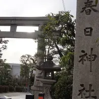 春日神社の写真・動画_image_171752