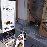 森のジェラテリアMUCCAこんぴら店の写真・動画_image_172002