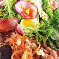 Pegの写真・動画_image_172047