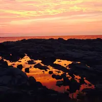 鴨ヶ浦の写真・動画_image_172290