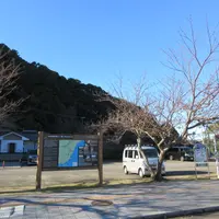 太地くじら浜公園の写真・動画_image_1723445