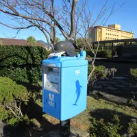 くじらのポストの写真・動画_image_1723447