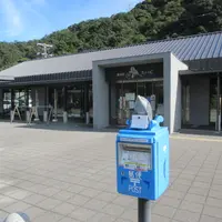 バンドウイルカのポストの写真・動画_image_1723454