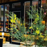 【閉業】ライフ デイリー ミールズ 熊本店 （LIFE Daily Meals） の写真・動画_image_172430