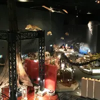 神奈川県立生命の星・地球博物館の写真・動画_image_172601