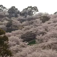 菊池市役所 総合体育館の写真・動画_image_172611
