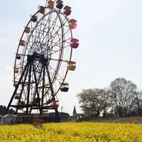 東京ドイツ村の写真・動画_image_172718