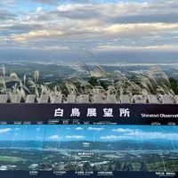 白鳥展望台の写真・動画_image_1727311