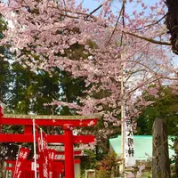経塚稲荷神社の写真・動画_image_172790