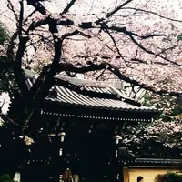 法明寺の写真・動画_image_172806