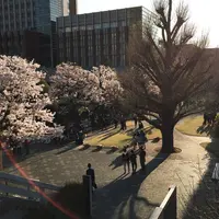 立教大学 池袋キャンパスの写真・動画_image_172813