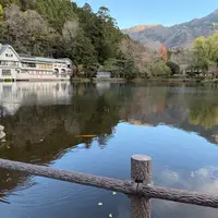 金鱗湖の写真・動画_image_1734221