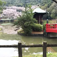 定光寺公園の写真・動画_image_173435