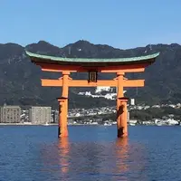 宮島（厳島）の写真・動画_image_173471