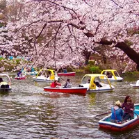 井の頭恩賜公園の写真・動画_image_173518