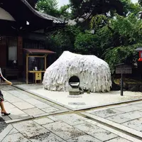 安井金比羅宮の写真・動画_image_173603