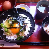 但熊の写真・動画_image_173802