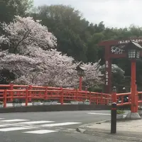 飯山観音前（バス）の写真・動画_image_173992
