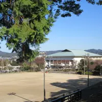 山根公園の写真・動画_image_1743051