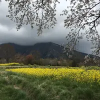 高森温泉館の写真・動画_image_174326