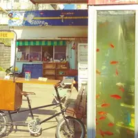 ケーコーヒーの写真・動画_image_174506