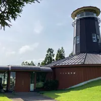 杉沢の沢スギの写真・動画_image_1746636