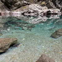 安居渓谷の写真・動画_image_1749538