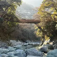 祖谷のかずら橋の写真・動画_image_1750056
