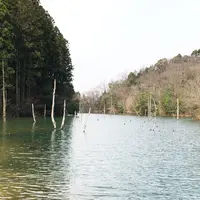 大正池の写真・動画_image_175103
