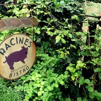 RACINESの写真・動画_image_175329