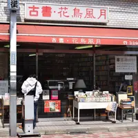 花鳥風月の写真・動画_image_175392