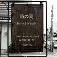 宵の実の写真・動画_image_175403
