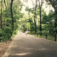 明治神宮の写真・動画_image_175513