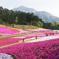 羊山公園の写真・動画_image_175614