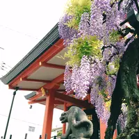 善国寺の写真・動画_image_175797