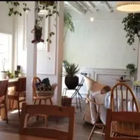 Funny's Waffle ファニーズワッフルの写真・動画_image_176090