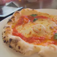 サンリゾート仁尾の写真・動画_image_176159