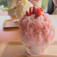 KAKIGORI CAFE ひむろの写真・動画_image_176160