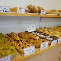 ロシナンテの写真・動画_image_176174