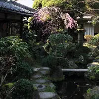 長谷路の写真・動画_image_176179