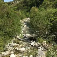 尾白川渓谷の写真・動画_image_176599