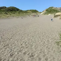 砂山の写真・動画_image_176653