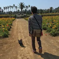 【閉業】ポピーの里 館山ファミリーパークの写真・動画_image_176654