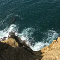 ヤセの断崖の写真・動画_image_176717