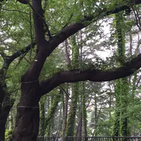 外濠公園の写真・動画_image_176729