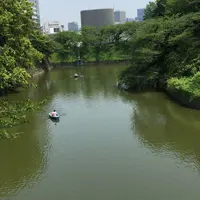 千鳥ヶ淵の写真・動画_image_176735