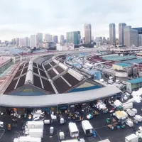 東京都中央卸売市場築地市場の写真・動画_image_176837